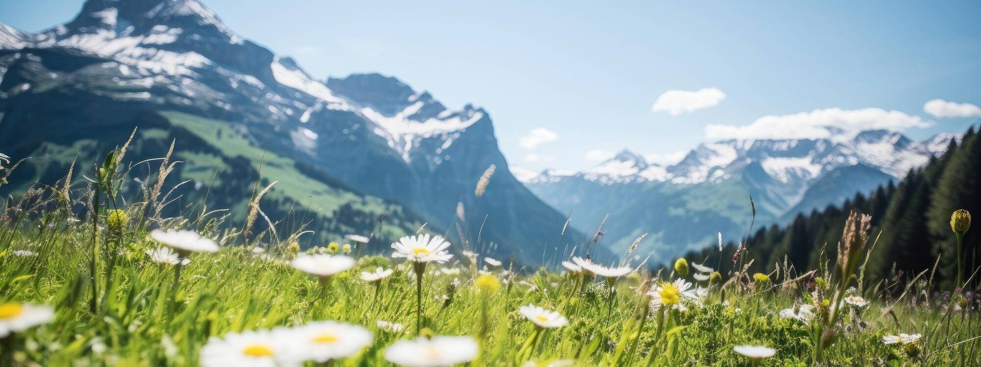 Sommerurlaub - Kaiserwinkl